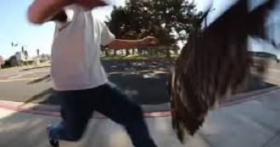 Scumbag Skateboarder Dropkicks an Eagle