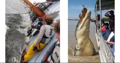 19 Times Crazy Sh*t Just Kinda Happened. WTF #9?
