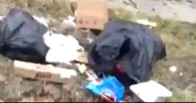 He Sees Something Moving Inside A Trash Bag... But When THIS Emerges From It? Whoa!