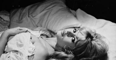 Brigitte Bardot Inspired Hair