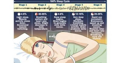 What Happens To Your Body While You're Asleep?