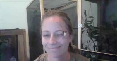 Horrifying Moment: Woman Lets Venomous Golden Orb Spider Crawl All Over Her Face