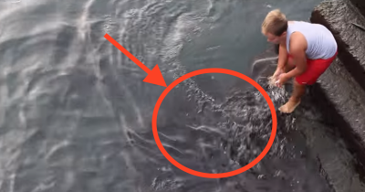 What Happened When This Boy Was Feeding Fish Caught Everyone Off Guard... AMAZING
