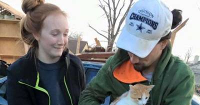 Family Never Gave Up Looking for Their Cats After Tornado Destroyed Their Home