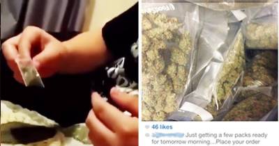 Stupid Kid Buys &ldquo;Weed&rdquo; Off Instagram But It&rsquo;s Just Grass And Leaves
