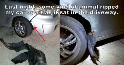 12 Interesting Pics That Are Straight Out Of Your Nightmares