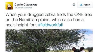 Hilarious Mistakes Made By Normally Smart People.