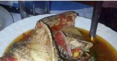 Apparently One Of Britain's Traditional Dishes Is Viper Soup...Yuck!