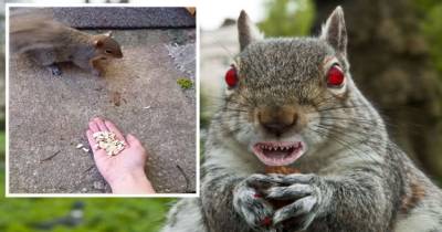 And That's How I Got Rabies!