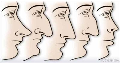 The Shape Of Your Nose Tells A Ton About Your Personality!