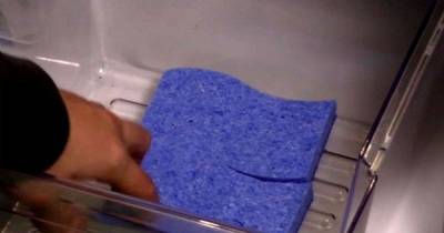 He Put 3 Sponges In The Refrigerator &ndash; When You See Why, You Will Do The Same Thing!