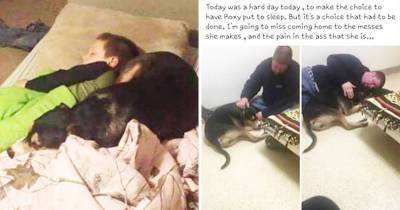 Girl &ldquo;Puts Down&rdquo; Healthy Dog For Pathetic Reasons