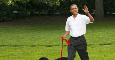 Jesus Plots To Steal President Obama's Dogs!