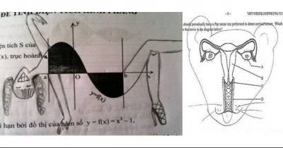 Hilarious Exam Fails That Will Make You Feel Smart