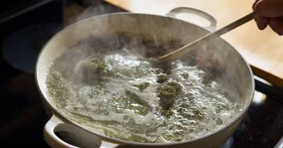 This Is The Homemade Cannabis Oil Recipe That People Are Using To Treat Cancer