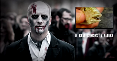 9 Real Zombies Found In Nature