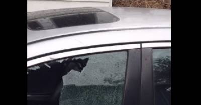 He Records The Damage His Ex Did To His Car, Then She Does THIS. OMG!