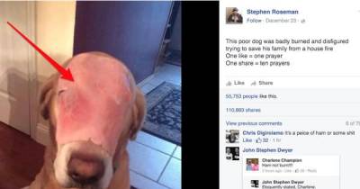 8 Dumb Hoaxes You Probably Believed Were True