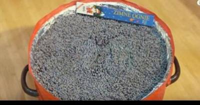 The Man Puts 10000 Sparklers In A Bucket. What Happened Next? Don&rsquo;t Try This At Home!