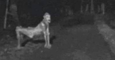 These Terrifying Pictures Will Make You Believe In Ghosts