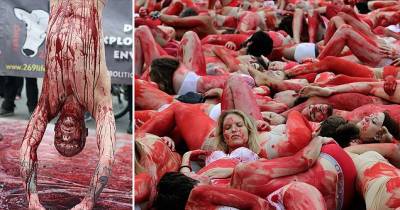 These Campaigners Cover Themselves In Fake Blood To Protest Meat Consumption!
