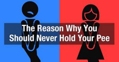This Is What Happens To Your Body When You Hold Your Pee. I Had No Idea!
