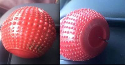 If You Have This Dog Toy Get Rid Of It Immediately