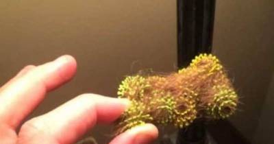 Mom Buys Toy For Her Daughter, Then Learns THIS Scary Fact