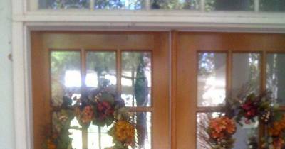Keeping Up The Christmas Decorations Too Long Gave One Guy A Nasty Surprise