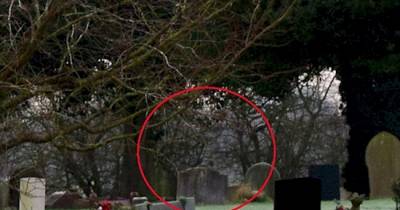 As Soon As He Saw The Pictures He Took, He Got Sick After He Saw THIS. Can You See It?