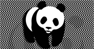 Can You Find The Hidden Panda In This Hypnotic Image?