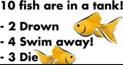 Can You Solve This Infuriating Fish Riddle?