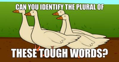 Can You Identify The Plural Of These Tough Words?