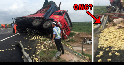 Truck Containing Thousands Of Chickens Overturned On The Highway. What Happened Next Was Crazy!