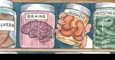 WTF! Scientists Are Growing Body Parts In Glass Jars In Labs. The Reason Why Will Shock You!