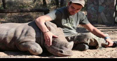 This Baby Rhino Was Found Crying Uncontrollably Next To His Dead Mommy. This Crushed Me.
