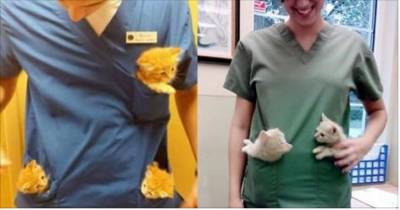 Best Perks Of Working At An Animal Hospital