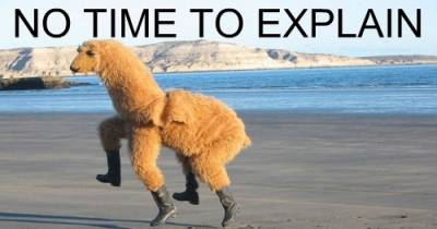 13 Things That Need An Explanation