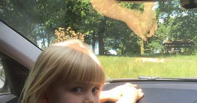 It's A Normal Safari Park Day For This 3 Year Old Until The Monkeys Show Up!