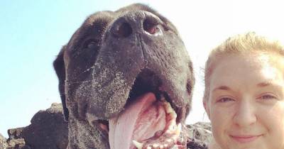 A Woman Took Her Dying Dog On An Epic Bucket List Adventure And It&rsquo;s Heartbreakingly Beautiful