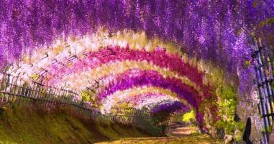 21 Real-Life Fairy Tale Worlds That'll Have You Lunging For Your Passport