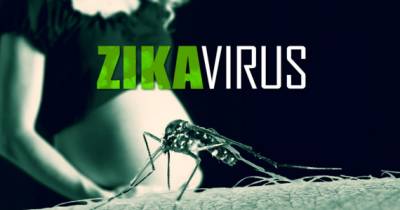 What You Need To Know About The Zika Virus