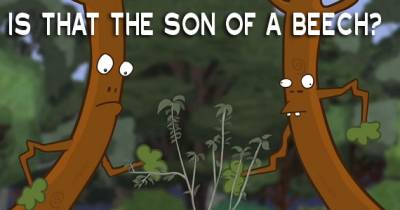 Son Of A Beech!