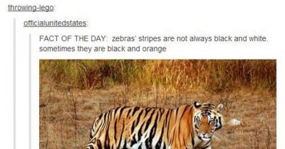 21 Times The Internet Was An Absolute Disaster