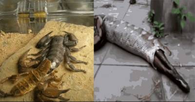 These GIFs Sums Up The Terrifying Side Of Mother Nature. Watch At Your Own Risk.