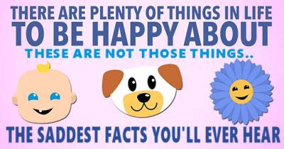 The Saddest Facts You'll Ever Hear