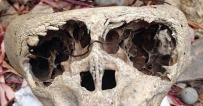 Could This Discovery Prove A Connection Between Nazis And Aliens?