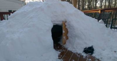 All Of This Snow Inspired Them To Make An Igloo, But Once Inside, You'll Be Amazed