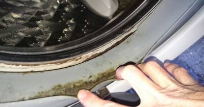 How to Remove Dangerous Mold and Unpleasant Odors from Your Washing Machine with 2 Ingredients