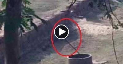 Elusive Ghost Caught On Camera As It Jumps Into Well